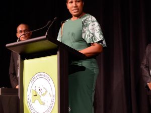 2018 PNG Mining and Petroleum Investment Conference