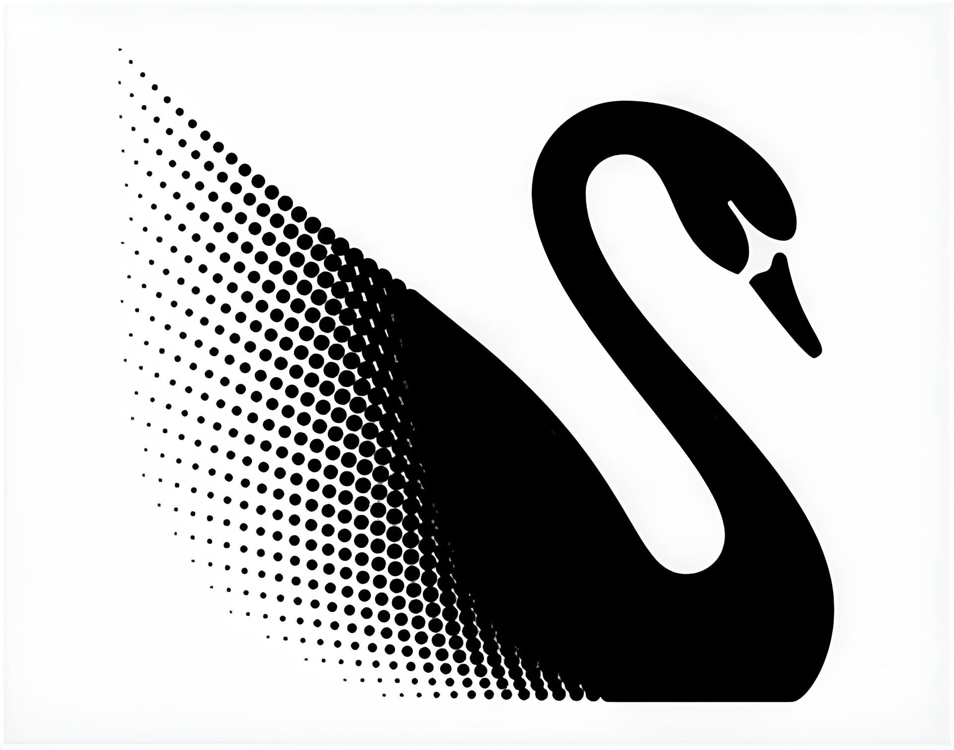 Black Swan (PNG) International logo
