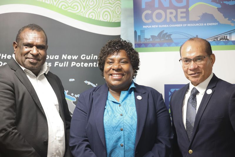 PNGCORE representatives pictured in the PIW26 FM100 campaign update